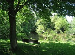 Park, Woda, Ławeczka