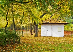 Mały, Biały, Domek, Park, Jesień