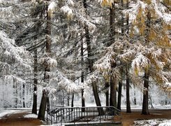 Park, Mostek, Pierwszy, Śnieg
