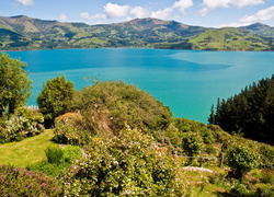 Jezioro, Góry, Roślinność, Nowa Zelandia