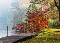 Drewniany, Pomost, Jezioro, Mgła, Jesień, Kolorowe, Liście