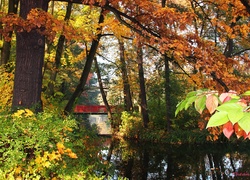 Park, Jesień, Kolorowe, Liście, Most, Jezoro