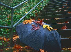 Schody, Parasol, Liście, Jesień