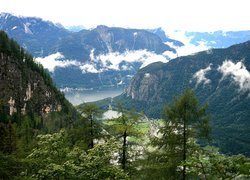 Jezioro, Góry, Drzewa, Dachstein, Austria