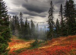 Góry, Drzewa, Chmury, Jesień