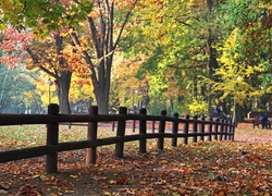 Jesienny, Park, Drewniany, Płotek