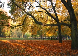 Plac, Zabaw, Jesień, Park