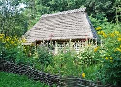 Domek, Drzewa, Kwiaty, Trawa, Płot