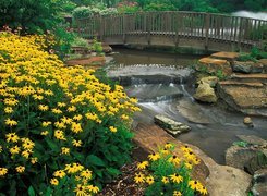 Kwiaty, Ohio, Kirtland, Holden, Arboretum