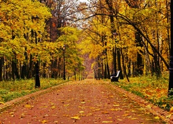 Park, Drzewa, Liście, Ławka, Jesień
