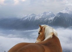 Góry, Koń, Chmury