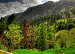 Górski, Letni, Krajobraz