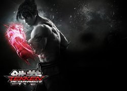 Tekken Tag Tournament 2, Jin Kazama