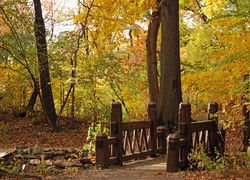 Park, Mostek, Liście, Jesień