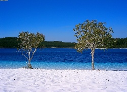 Wyspa, Frazer Island, Drzewa, Jezioro, Australia