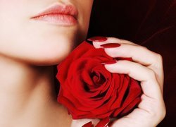 Kobieta, Czerwona, Róża, Dłoń