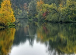 Rzeka, Drzewa, Jesień