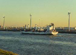 Holandia, Hoek Van Holland, Euro, Port