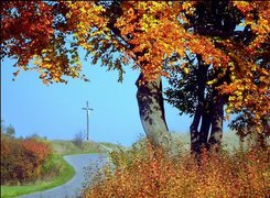 Jesień, Drzewa, Liście, Droga, Krzyż