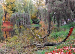 Park, Drzew, Staw, Jesienią