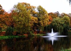 Park, Jesienią, Kolorowe, Drzewa, Fontanna