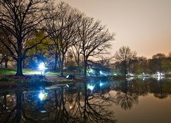 Zmierzch, Oświetlony, Park, Jezioro