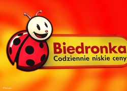 Reklama, Dyskont Biedronka