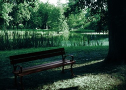 Park, Ławka, Staw, Drzewa