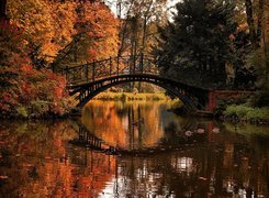 Jesień, Rzeka, Kaczki, Most