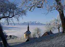 Zima, Kościółek, Drzewa, Austria