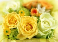 Róże, Białe, Żółte