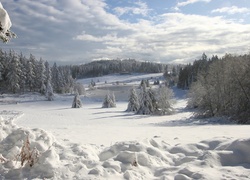 Zima, Drzewa, Śnieg