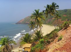 Plaża, Palmy, Goa, Indie