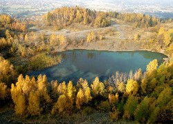 Jesień, Jezioro, Brzozy, Liście, Żółte, Domy