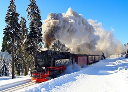 Pociąg, Drzewa, Zima