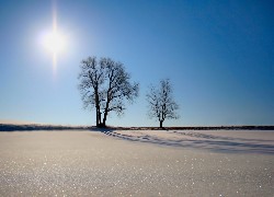 Błyszczący, Śnieg, Słońce, W, Zenicie