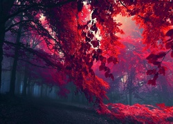Las, Mgła, Czerwone, Liście