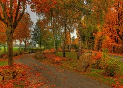 Park, Rzeka, Mostek, Aleja, Liście, Jesień