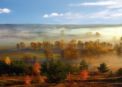 Pola, Drzewa, Mgła, Panorama, Jesień