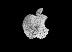 Apple, Logo