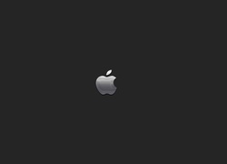 Apple, Stalowoszare, Logo
