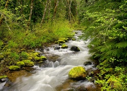 Potok, Kamienie