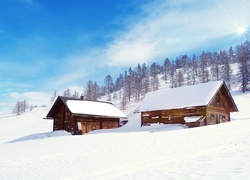 Zima, Śnieg, Drzewa, Dwa, Drewniane, Domy