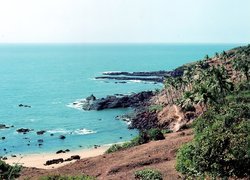 Morze, Roślinność, Goa, Indie
