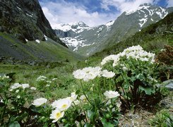 Jaskry, Wysokogórskie, Góry, Fjordland National Park