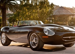 Jaguar, Auto, Sportowe, Kabriolet