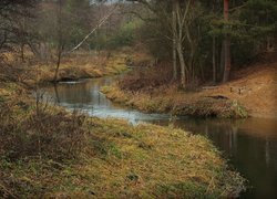 Rzeczka, Kręta, Drzewa, Trawa, Ławeczki