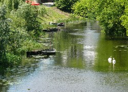 Lato, Rzeka, Łabędzie, Łodzie, Drzewa