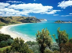 Morze, Plaża, Wysepka, Roślinność, Nowa Zelandia