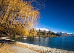 Jezioro, Plaża, Góry, Drzewa, Wakatipu, Nowa Zelandia
